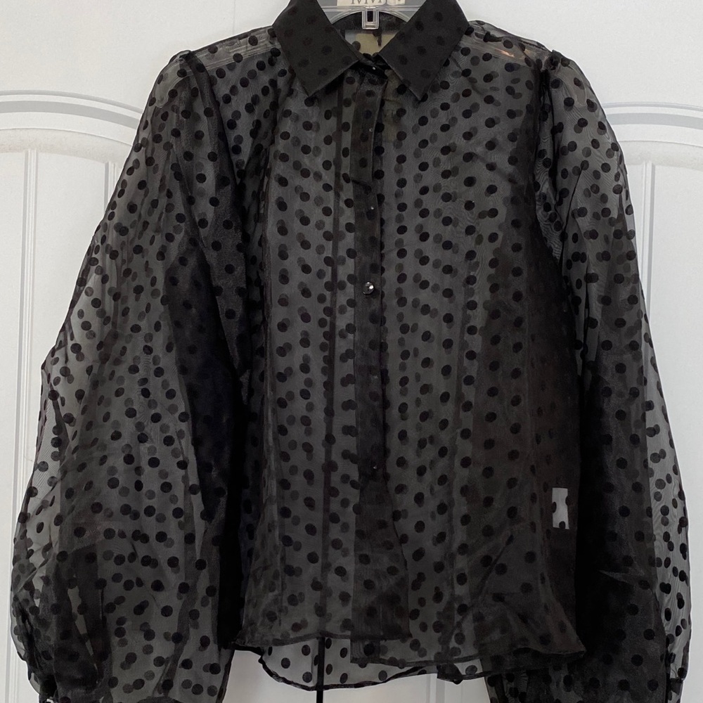 Black see through Polka Dot Blouse
